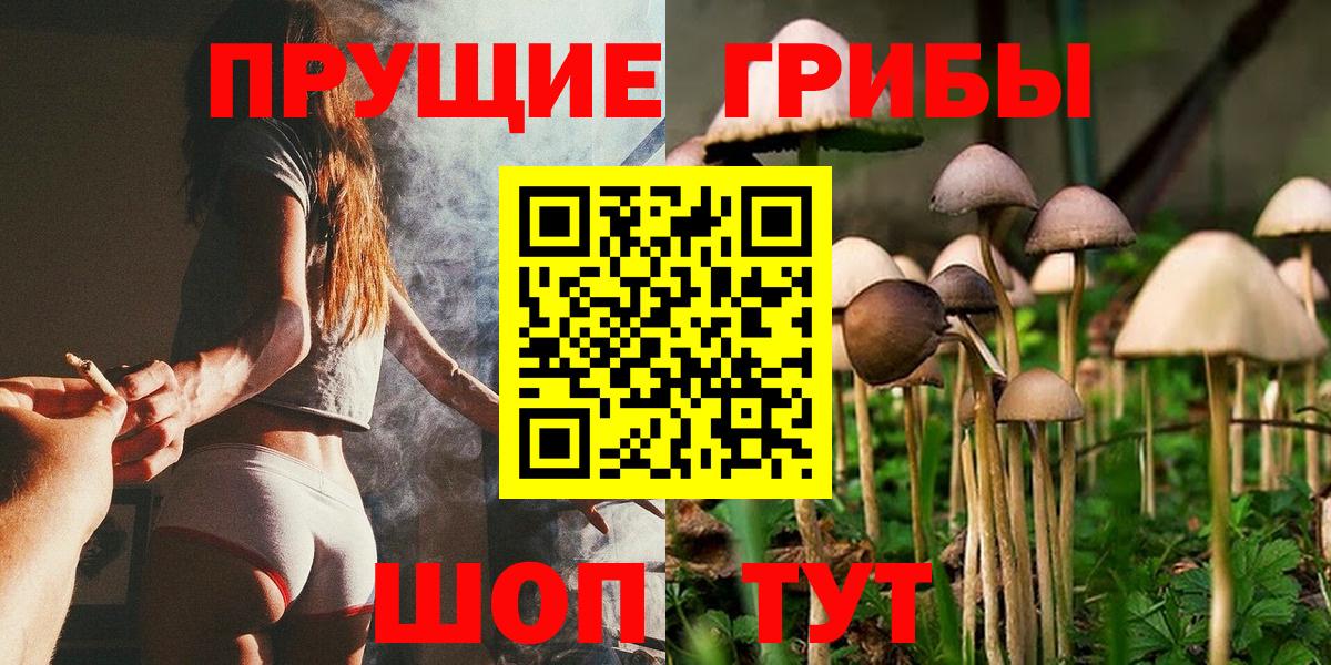 Псилоцибиновые грибы Magic Shrooms Гай