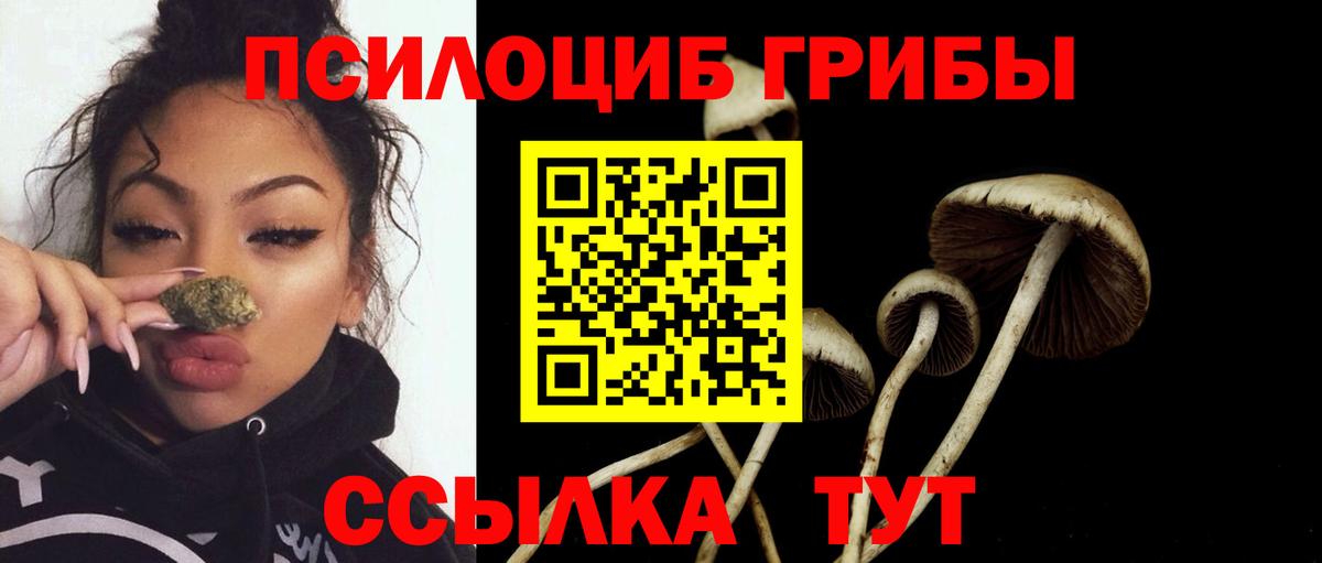 Гай  Псилоцибиновые грибы Cubensis  Вход с VPN  Псилоцибиновые грибы MAGIC MUSHROOMS 
